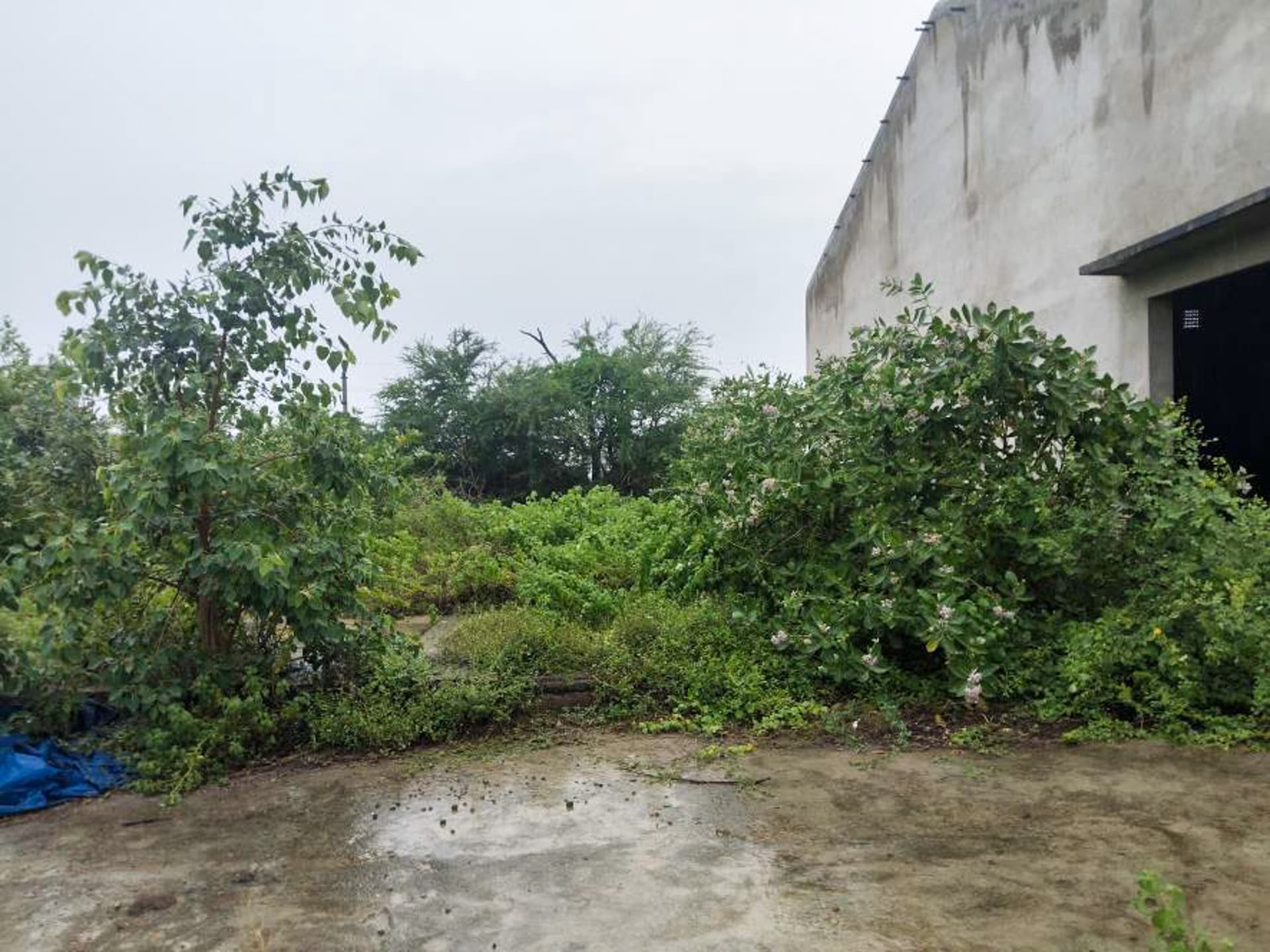 Property Photos 22