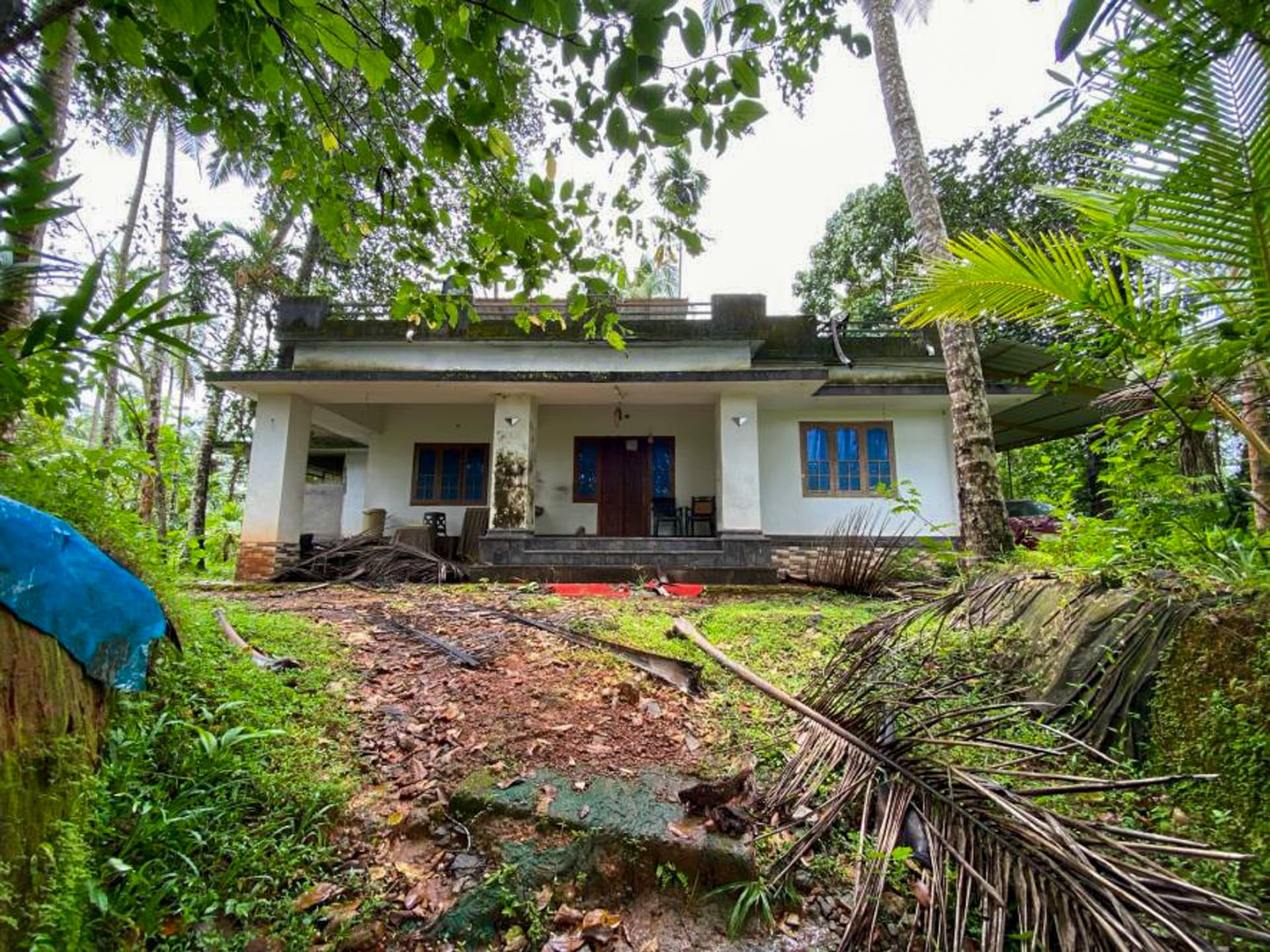 Property Photos 5
