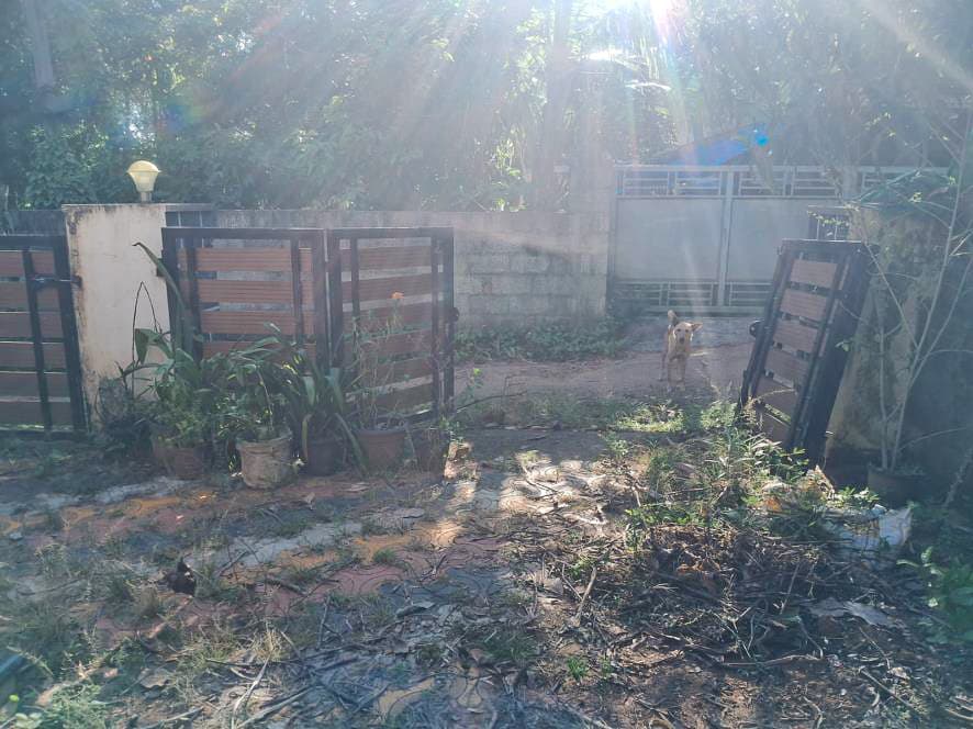 Property Photos 3