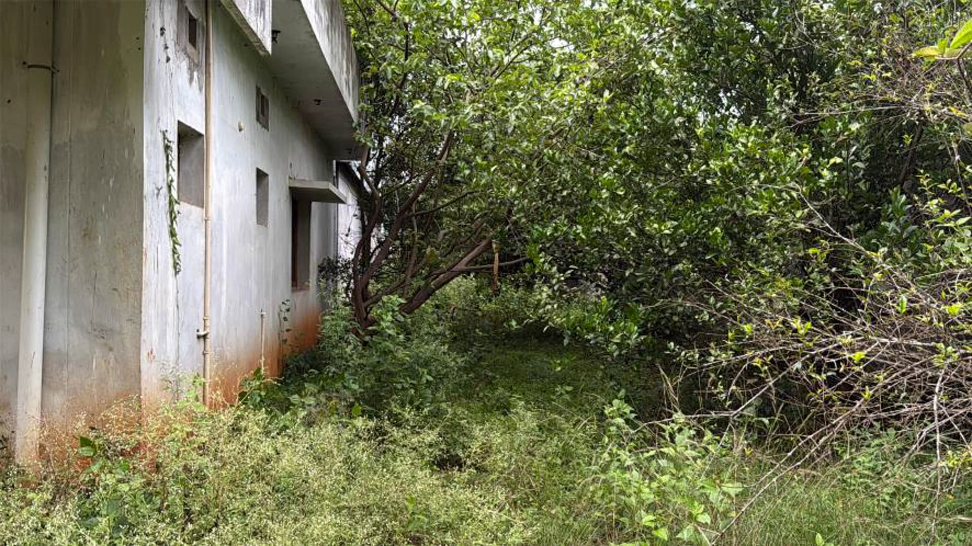 Property Photos 6