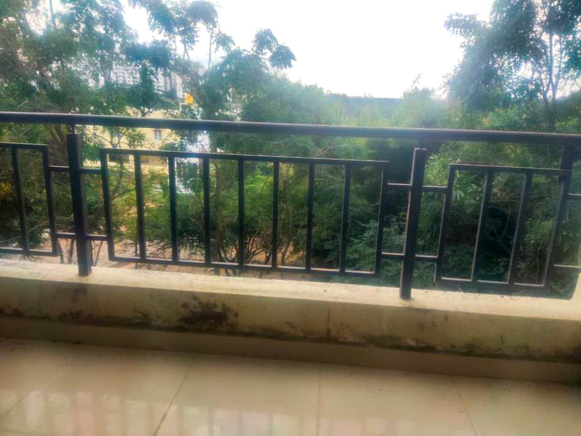 Property Photos 5