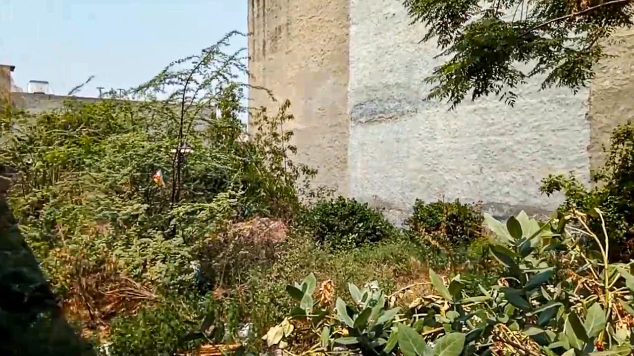 Property Photos 5