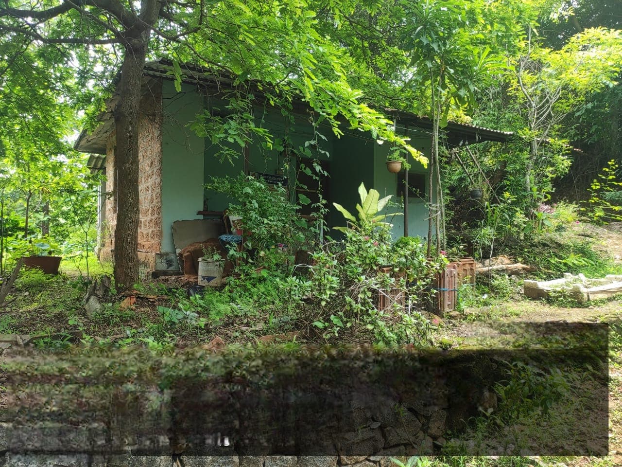 Property Photos 2