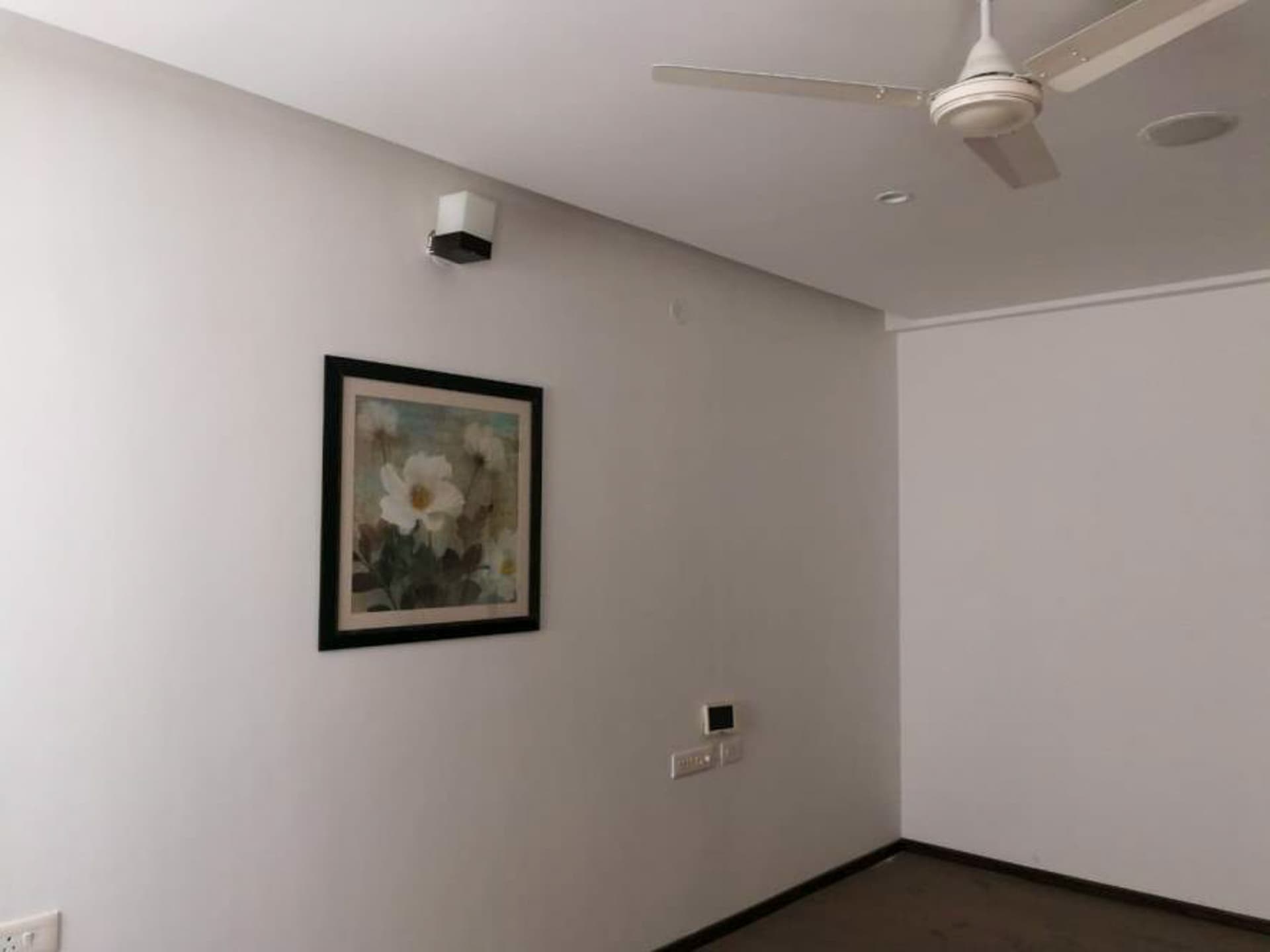 Property Photos 4