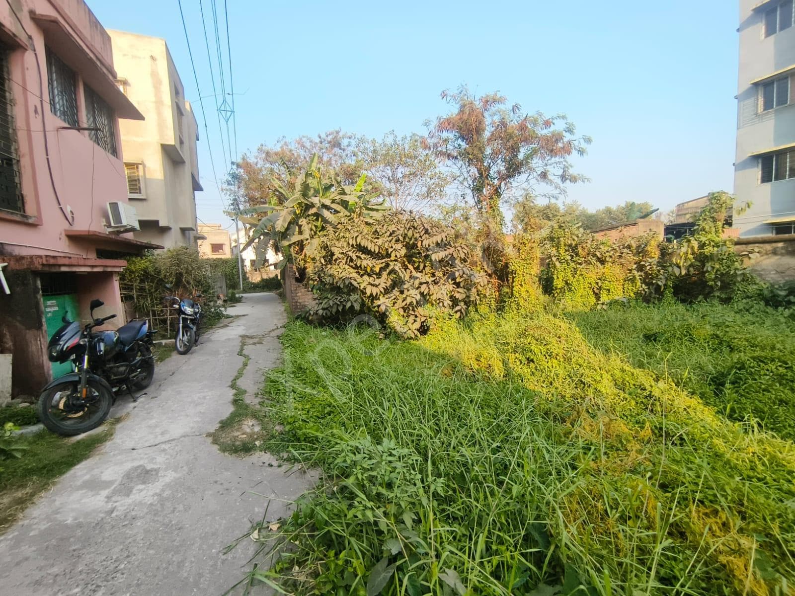 Property Photos 6