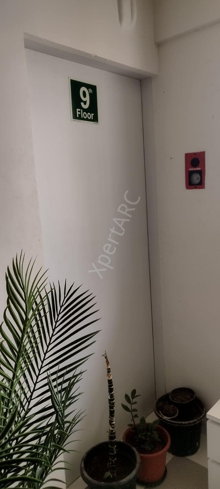 Property Photos 8