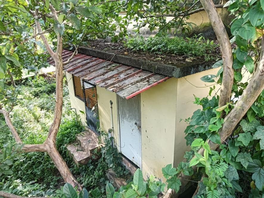 Property Photos 3