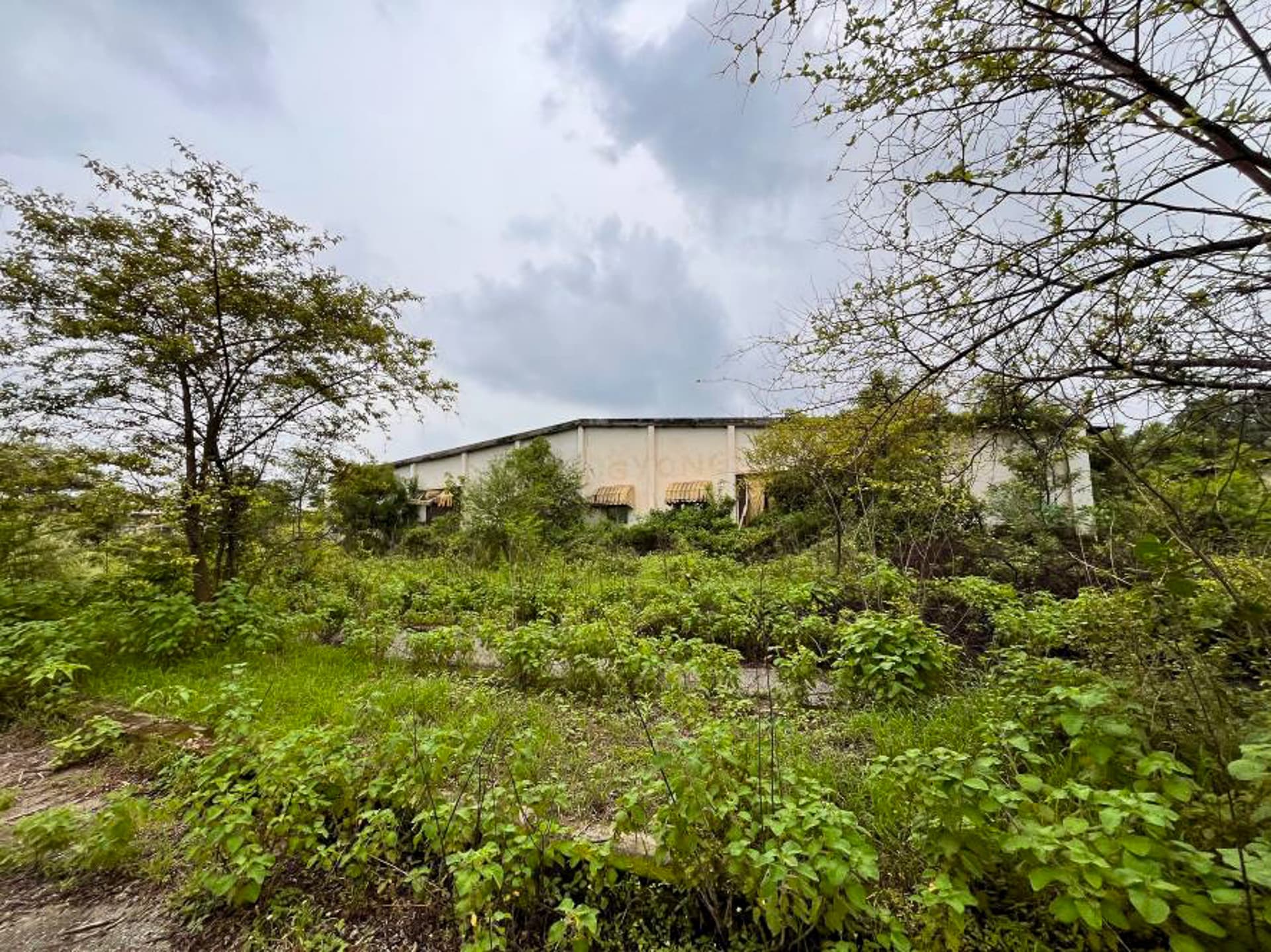 Property Photos 25