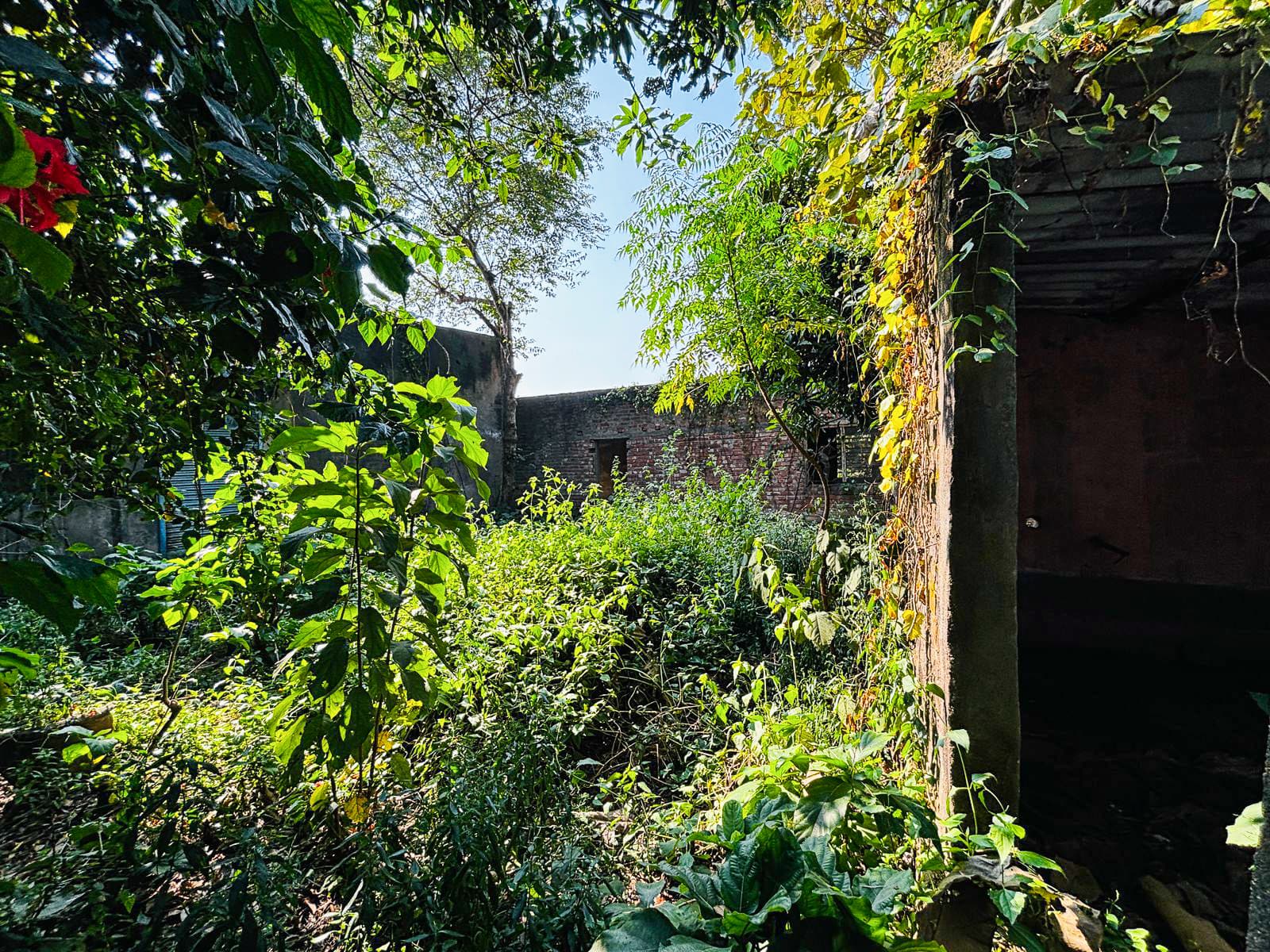 Property Photos 5