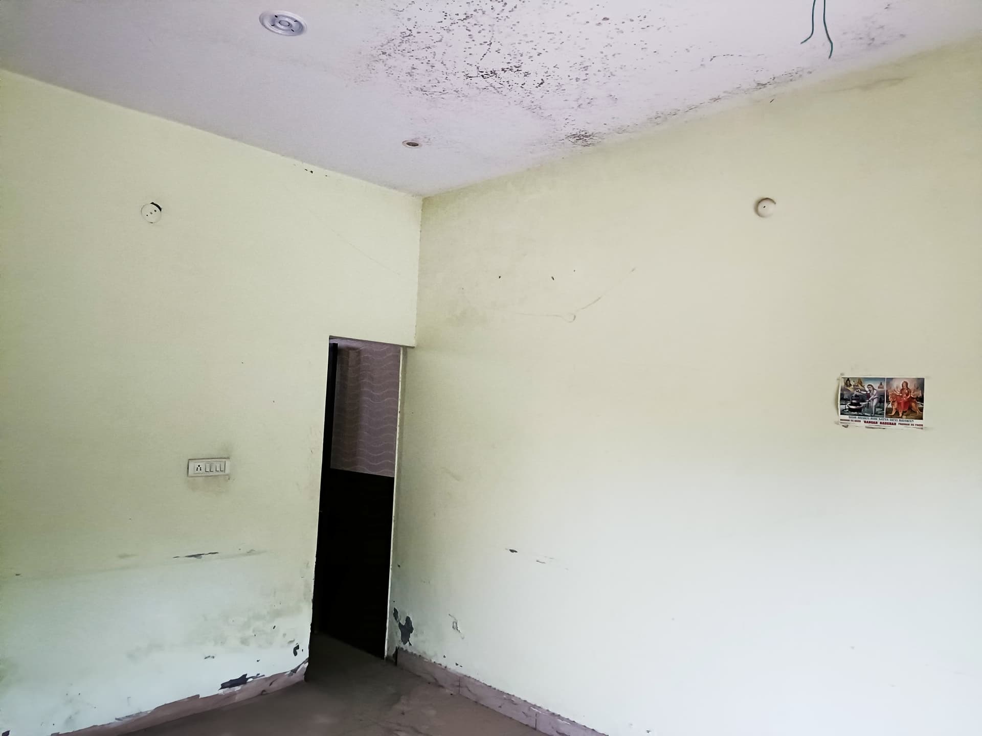 Property Photos 6
