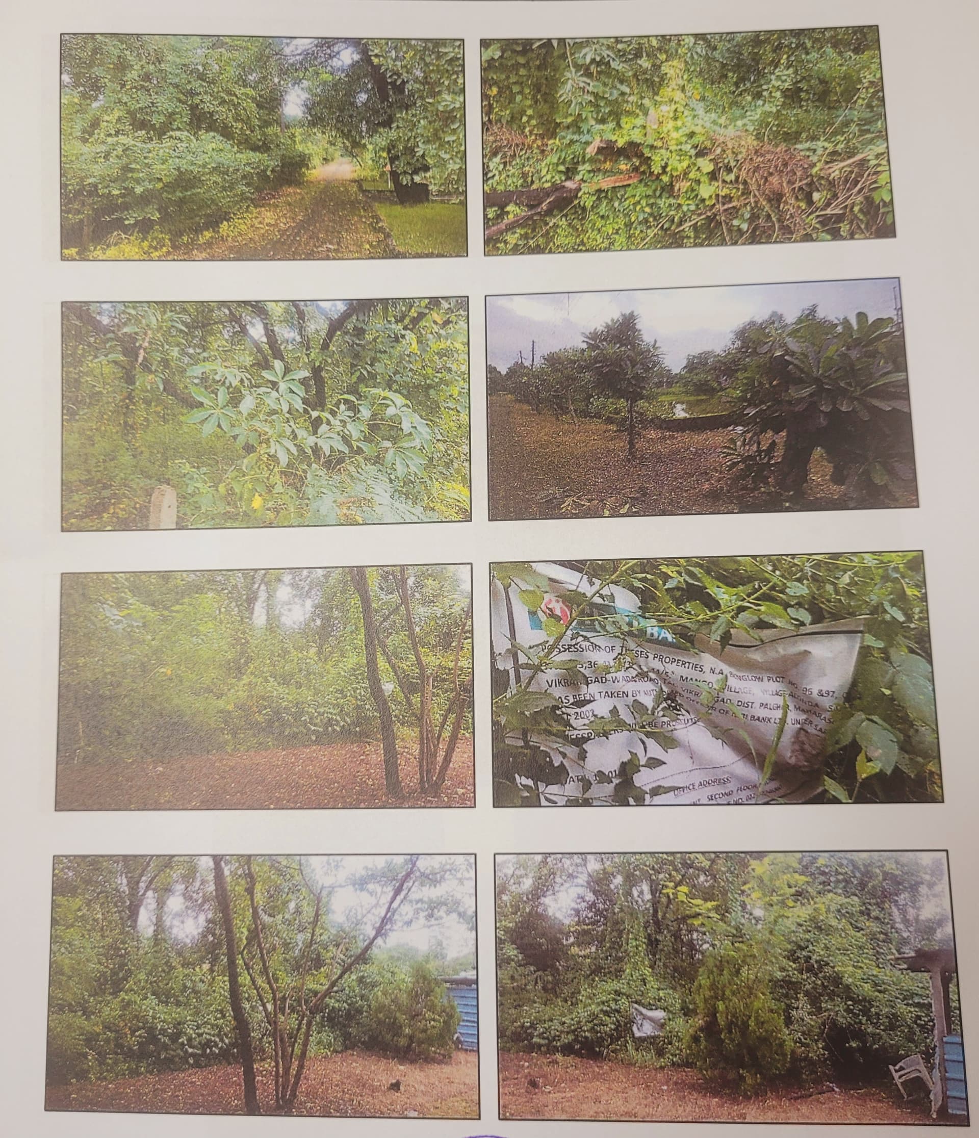 Property Photos 3