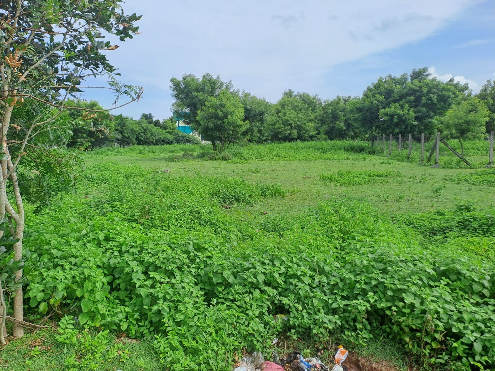 Property Photos 2