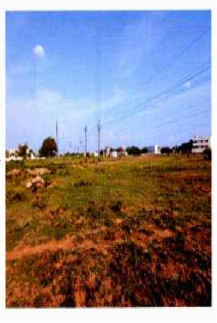 Property Photos 2