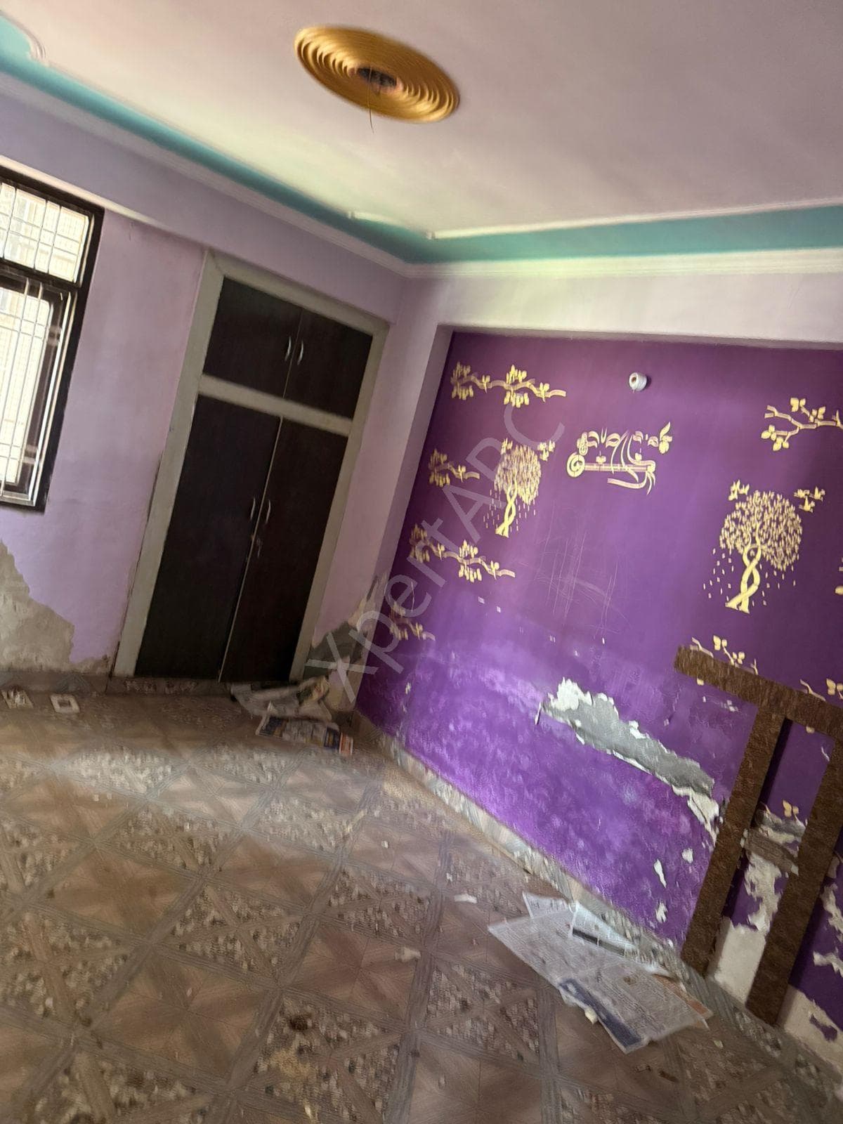 Property Photos 9