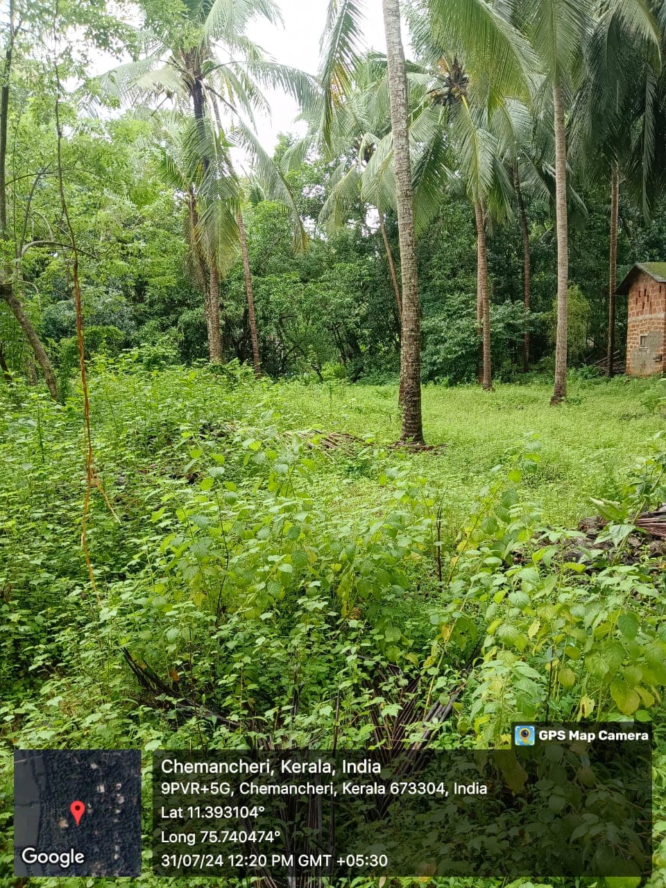 Property Photos 11