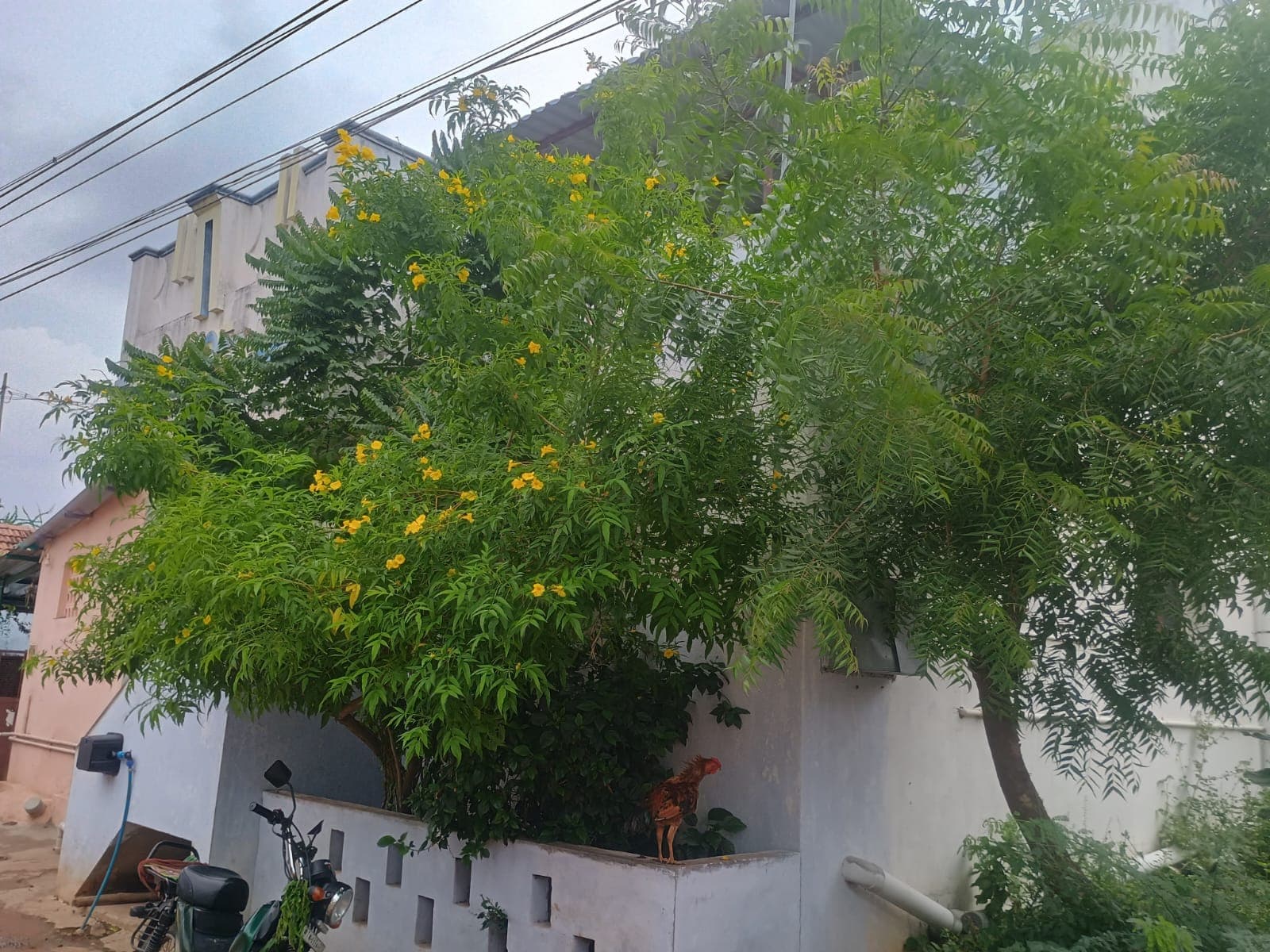 Property Photos 2