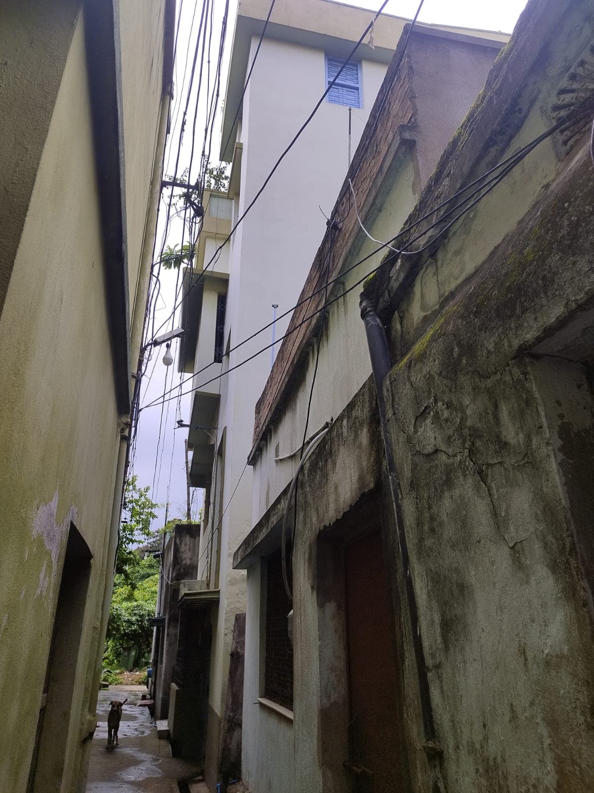 Property Photos 5