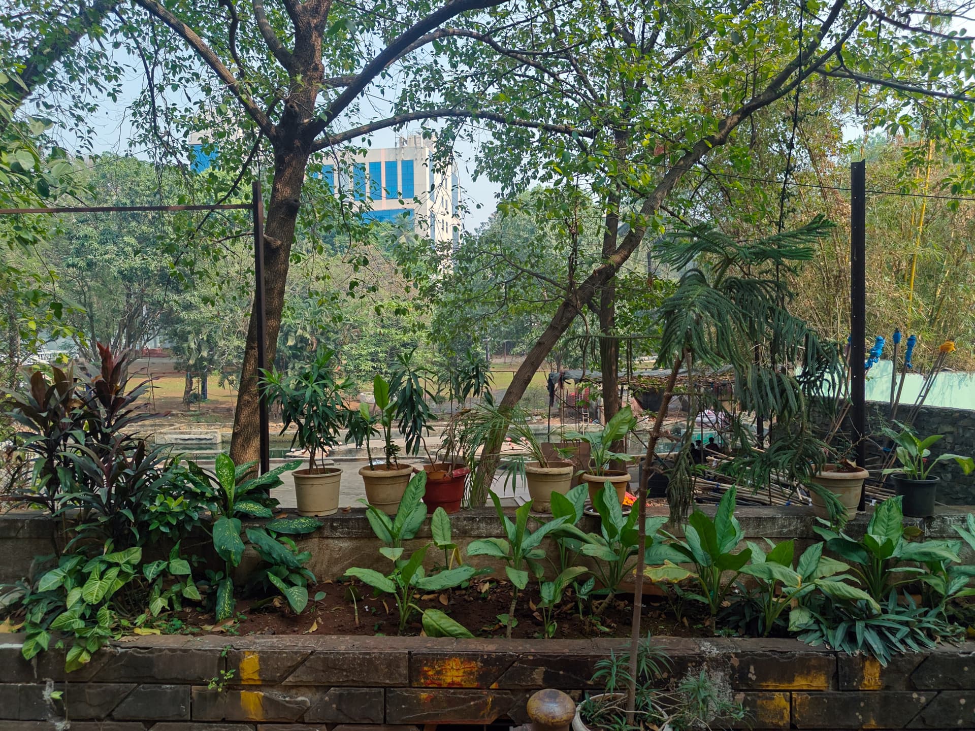 Property Photos 30