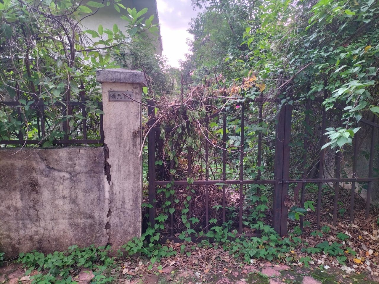 Property Photos 6
