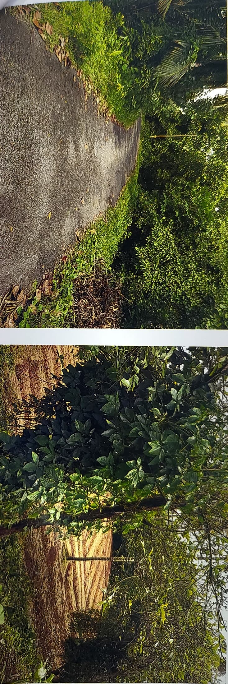 Property Photos 2