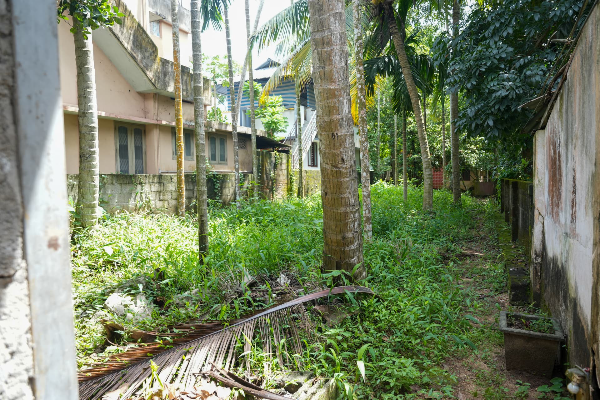 Property Photos 4