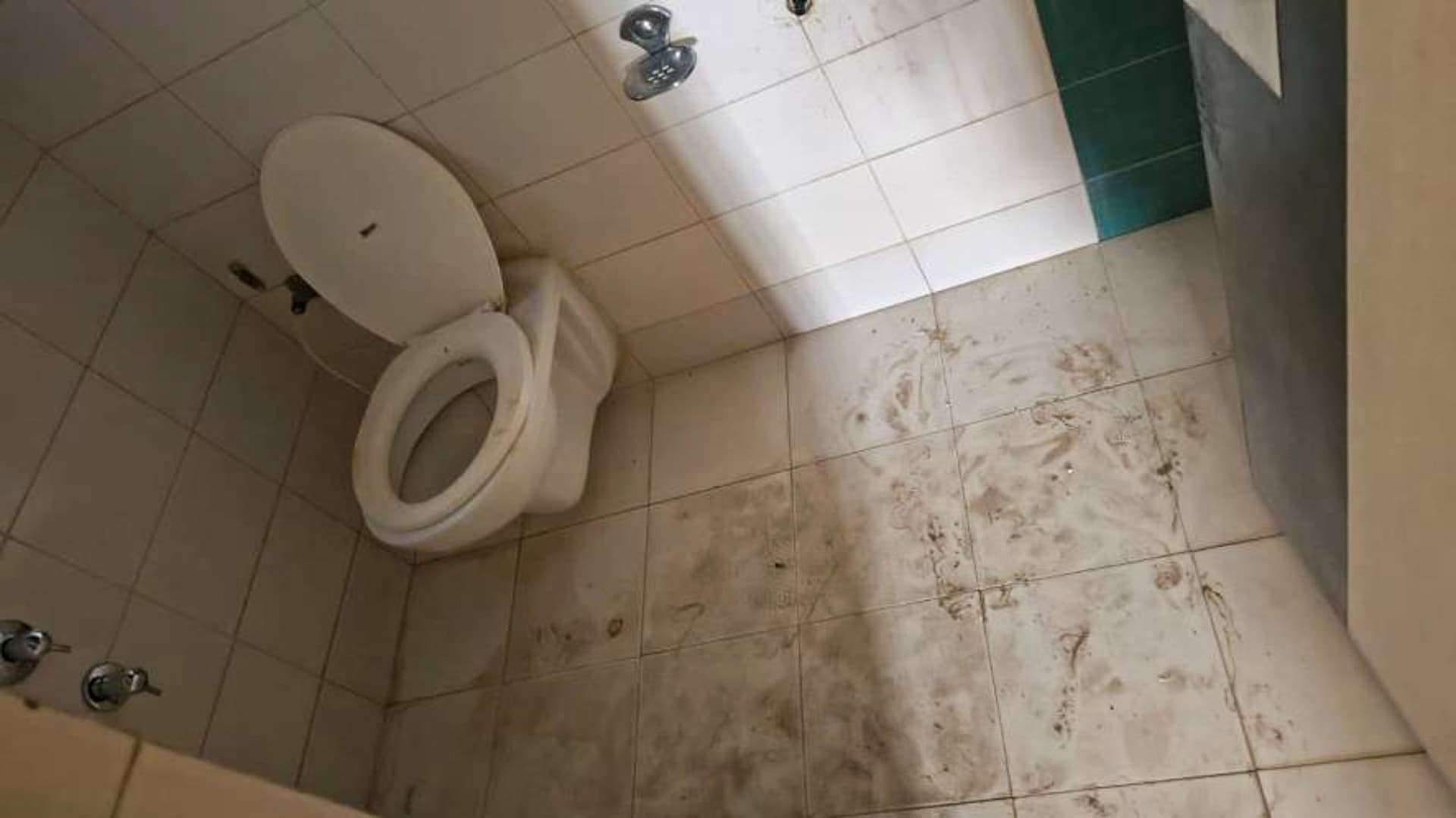 Property Photos 12