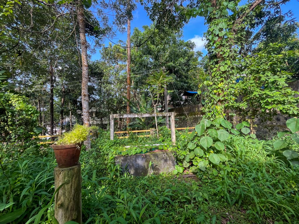 Property Photos 46