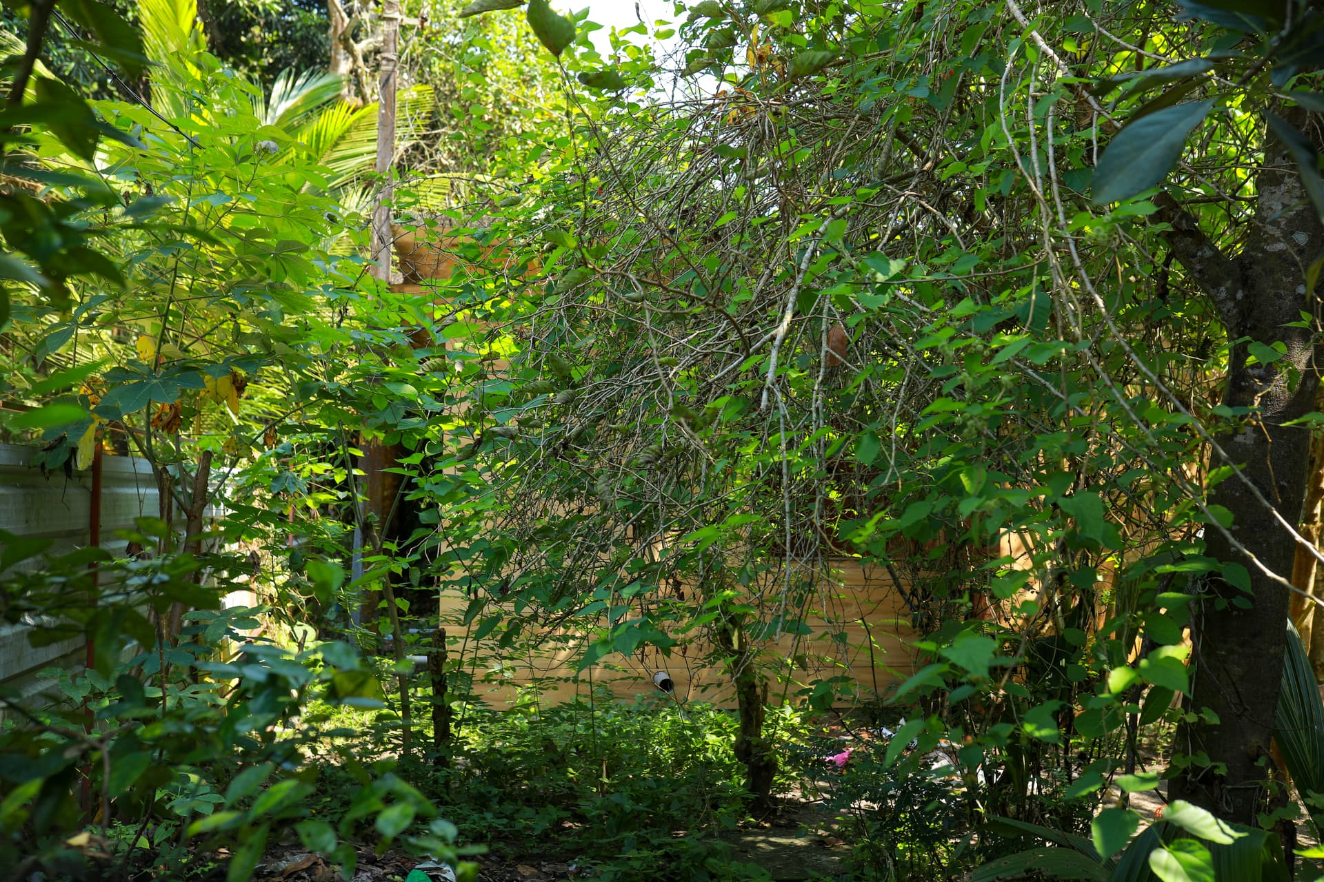 Property Photos 12