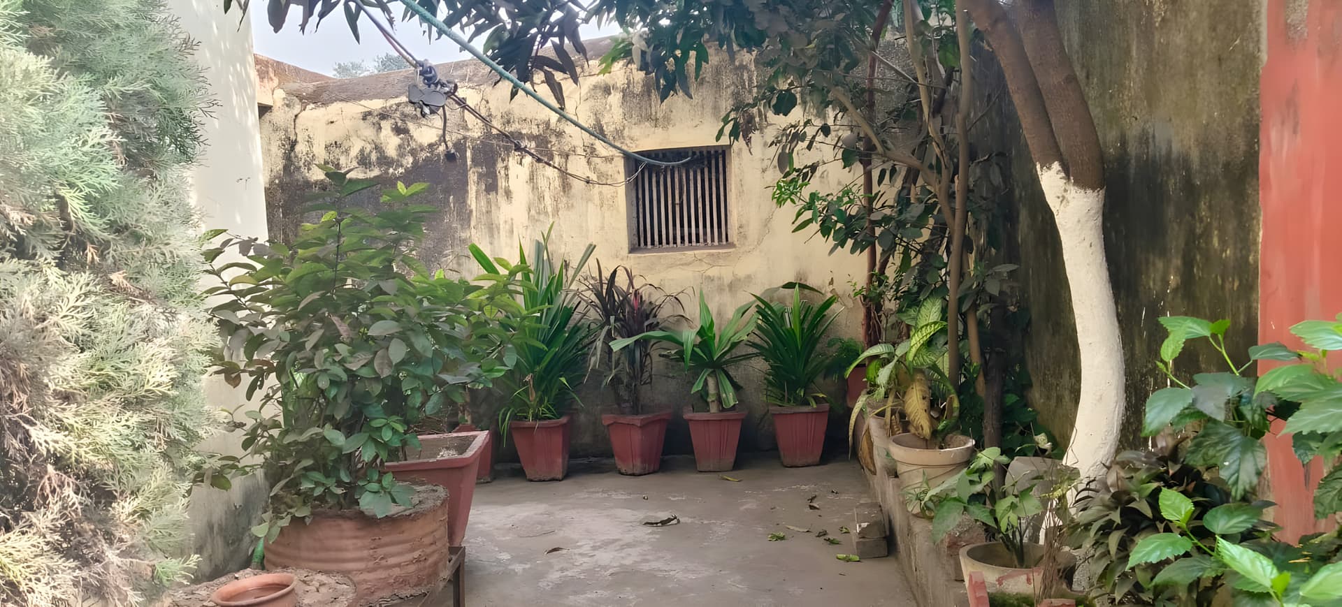 Property Photos 4