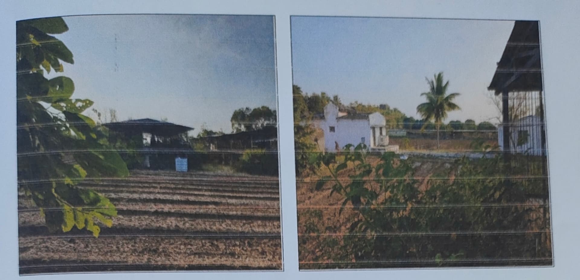 Property Photos 2
