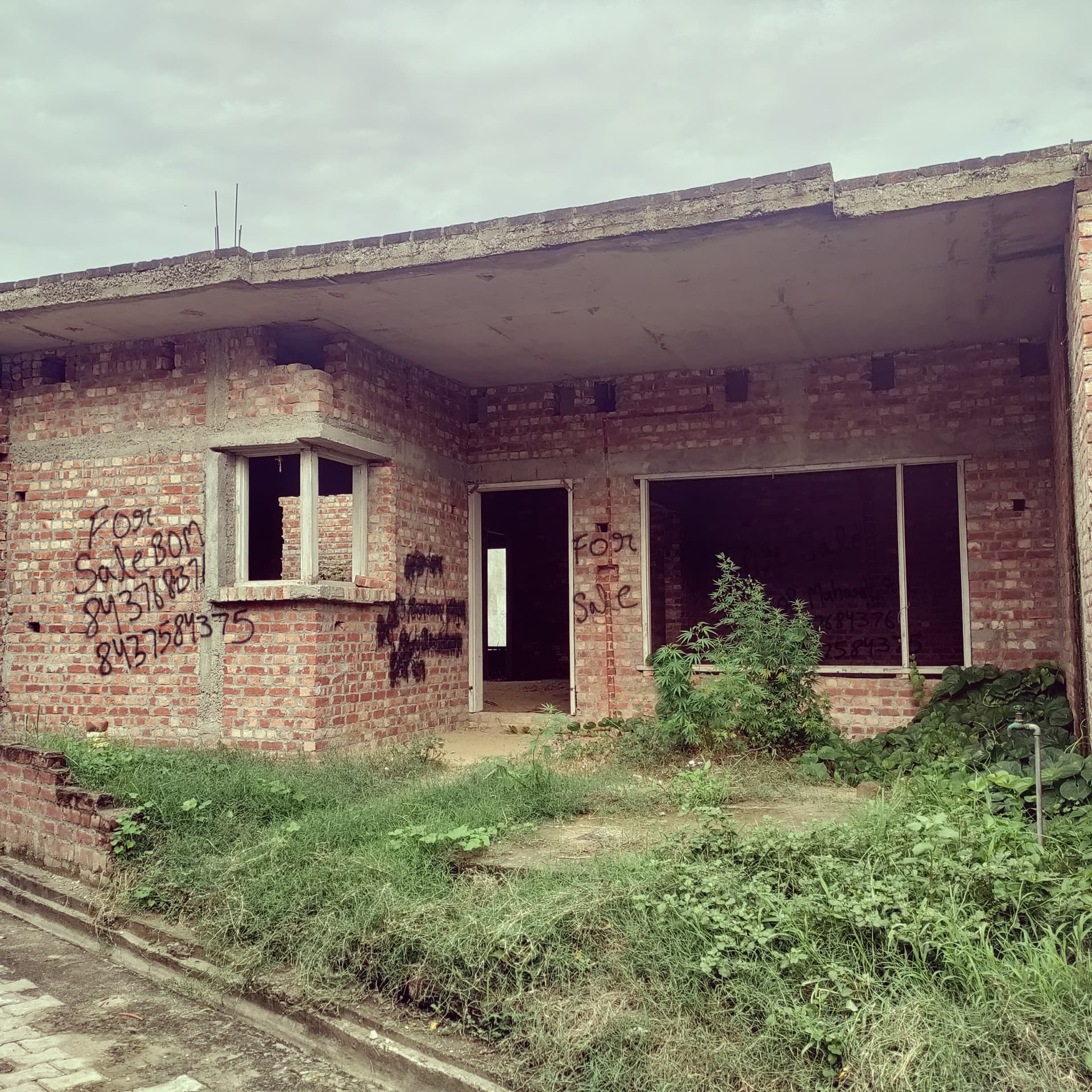 Property Photos 2