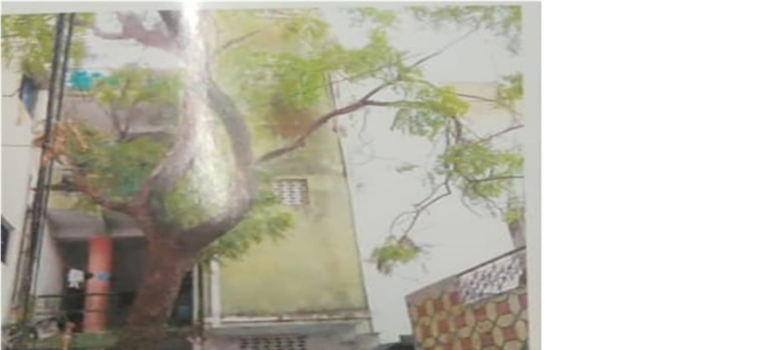 Property Photos 2