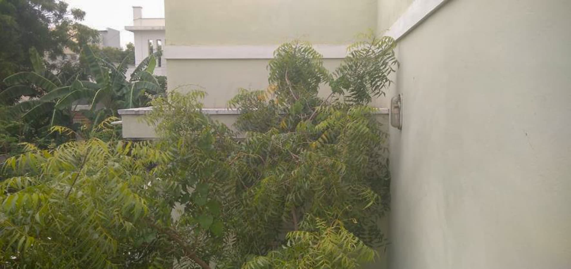 Property Photos 16