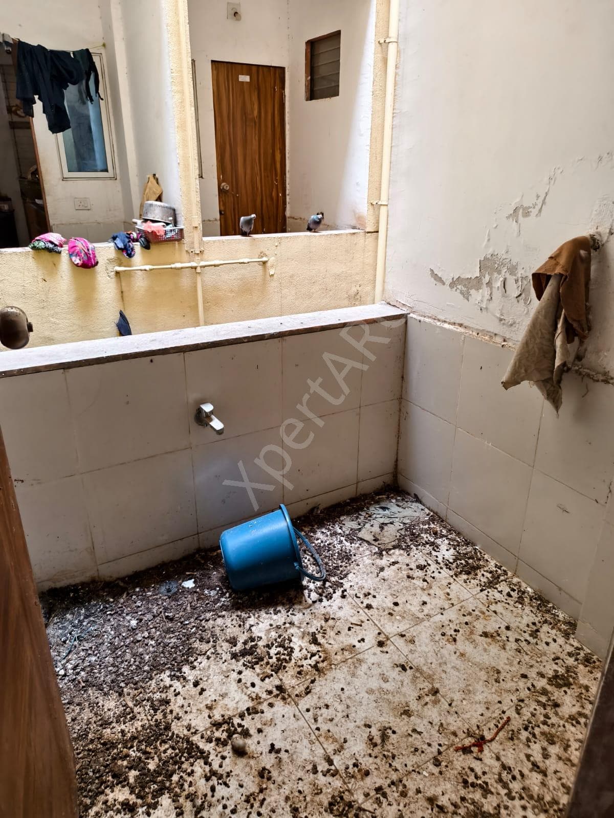 Property Photos 3