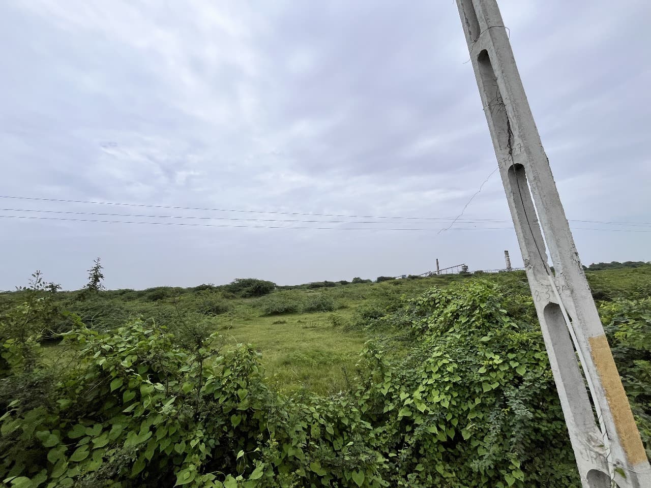 Property Photos 4
