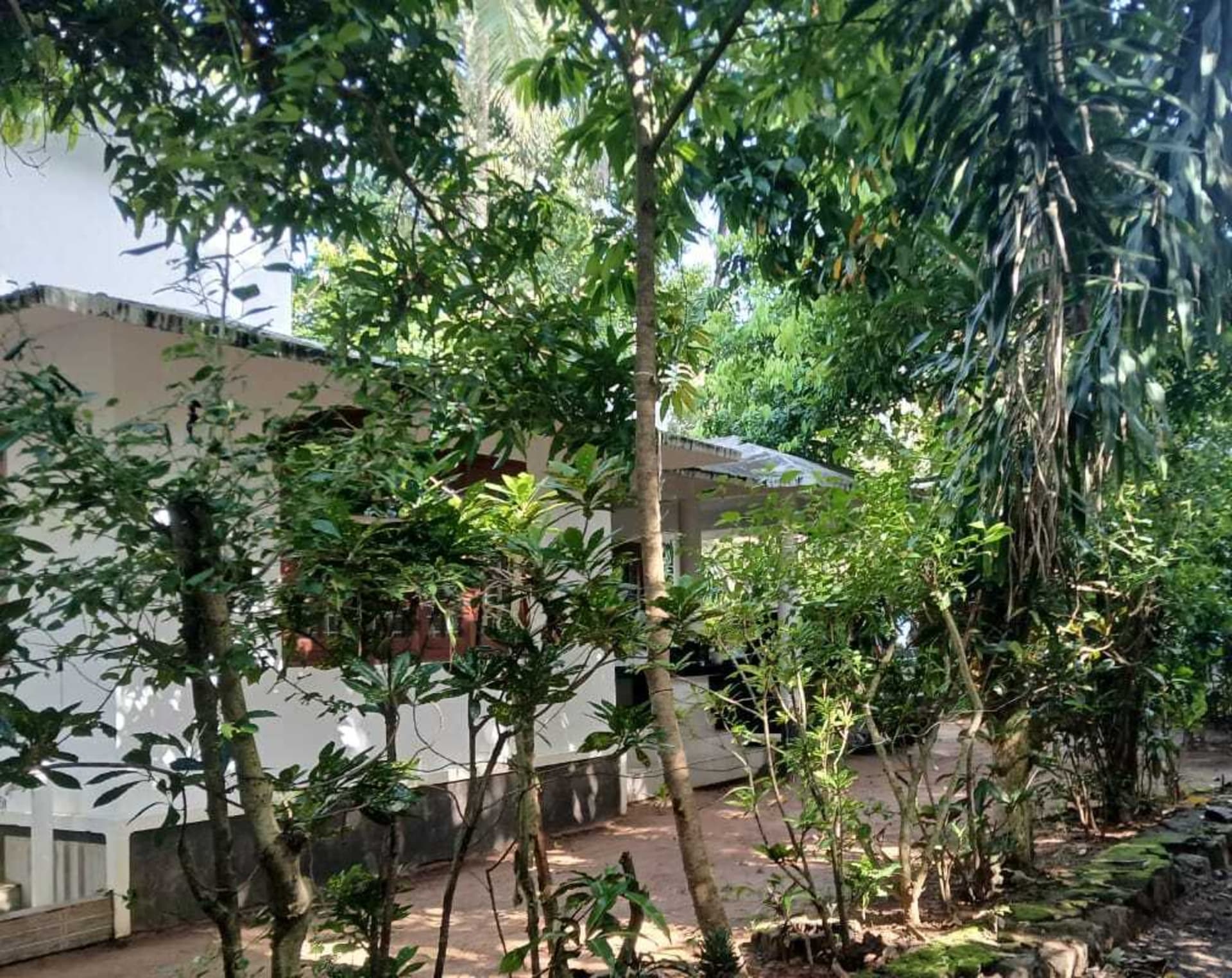 Property Photos 2