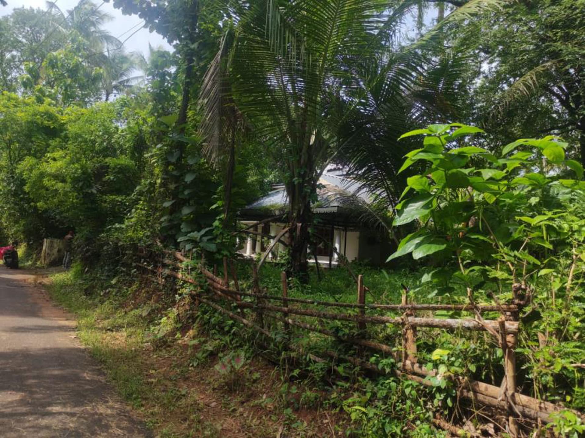 Property Photos 17