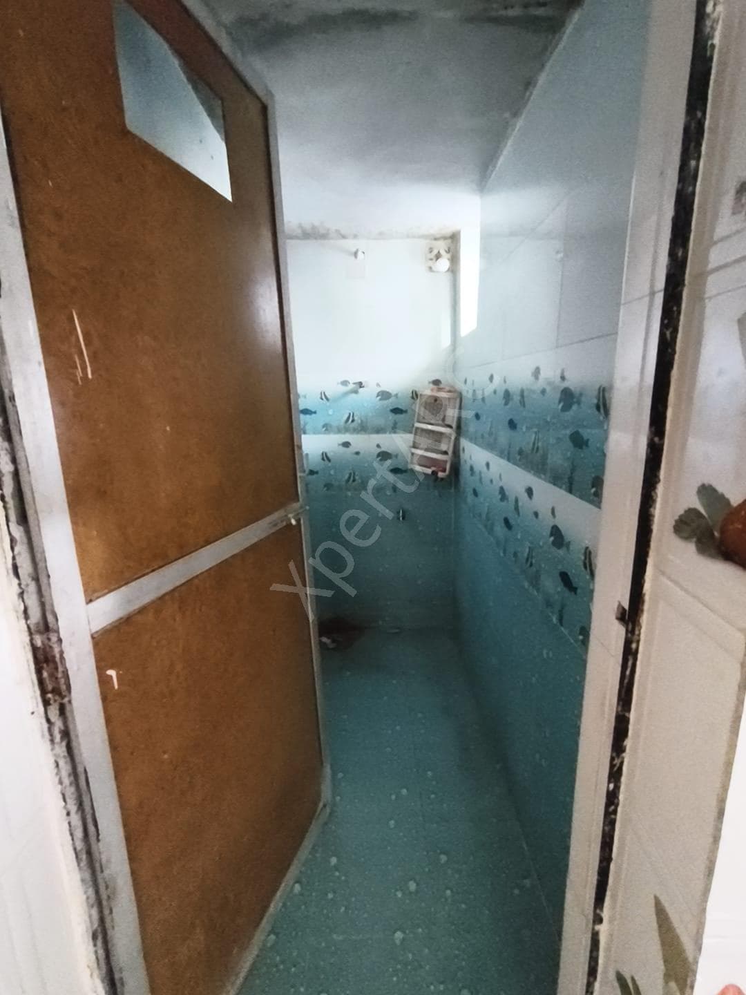 Property Photos 18