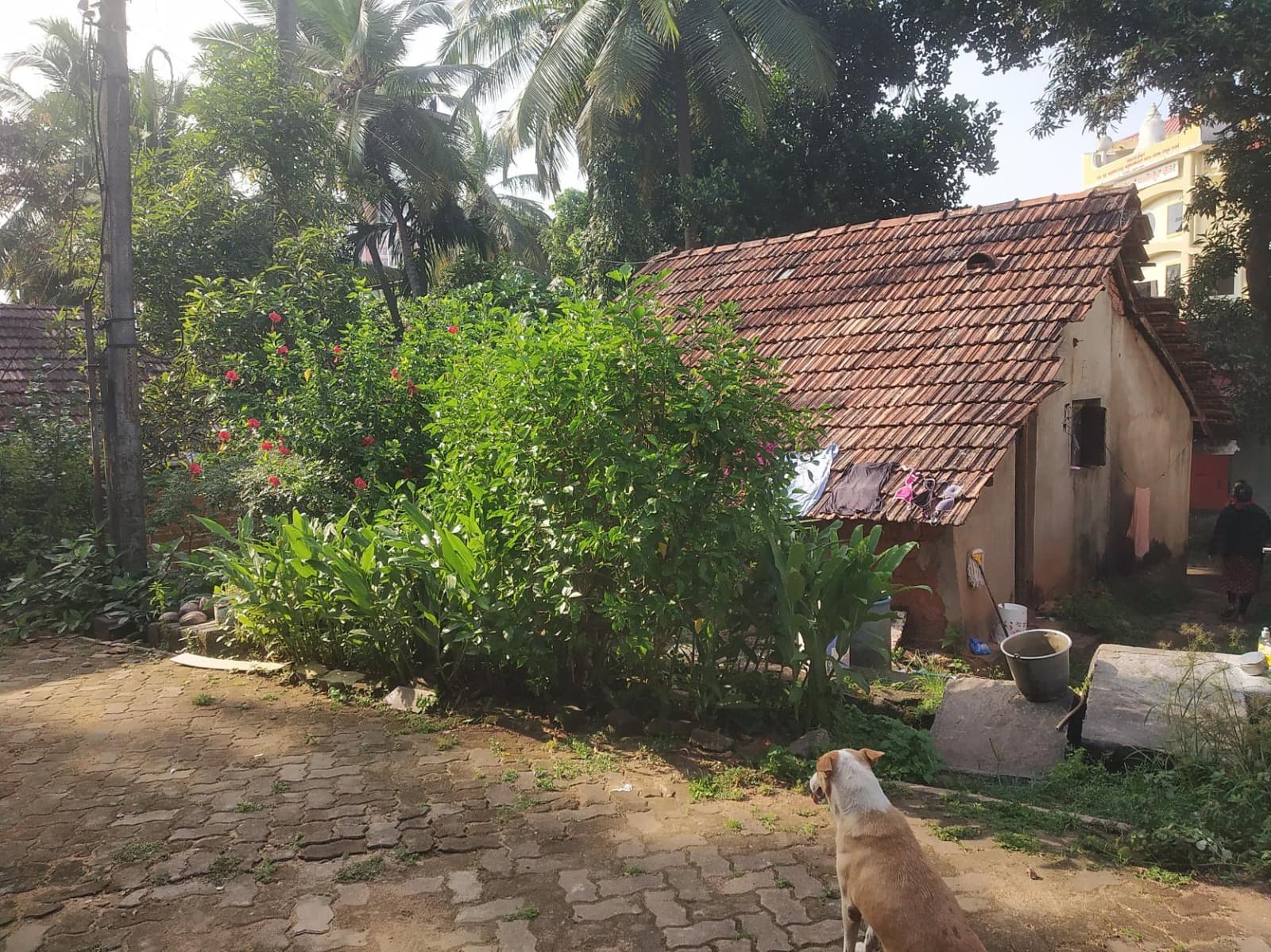 Property Photos 2