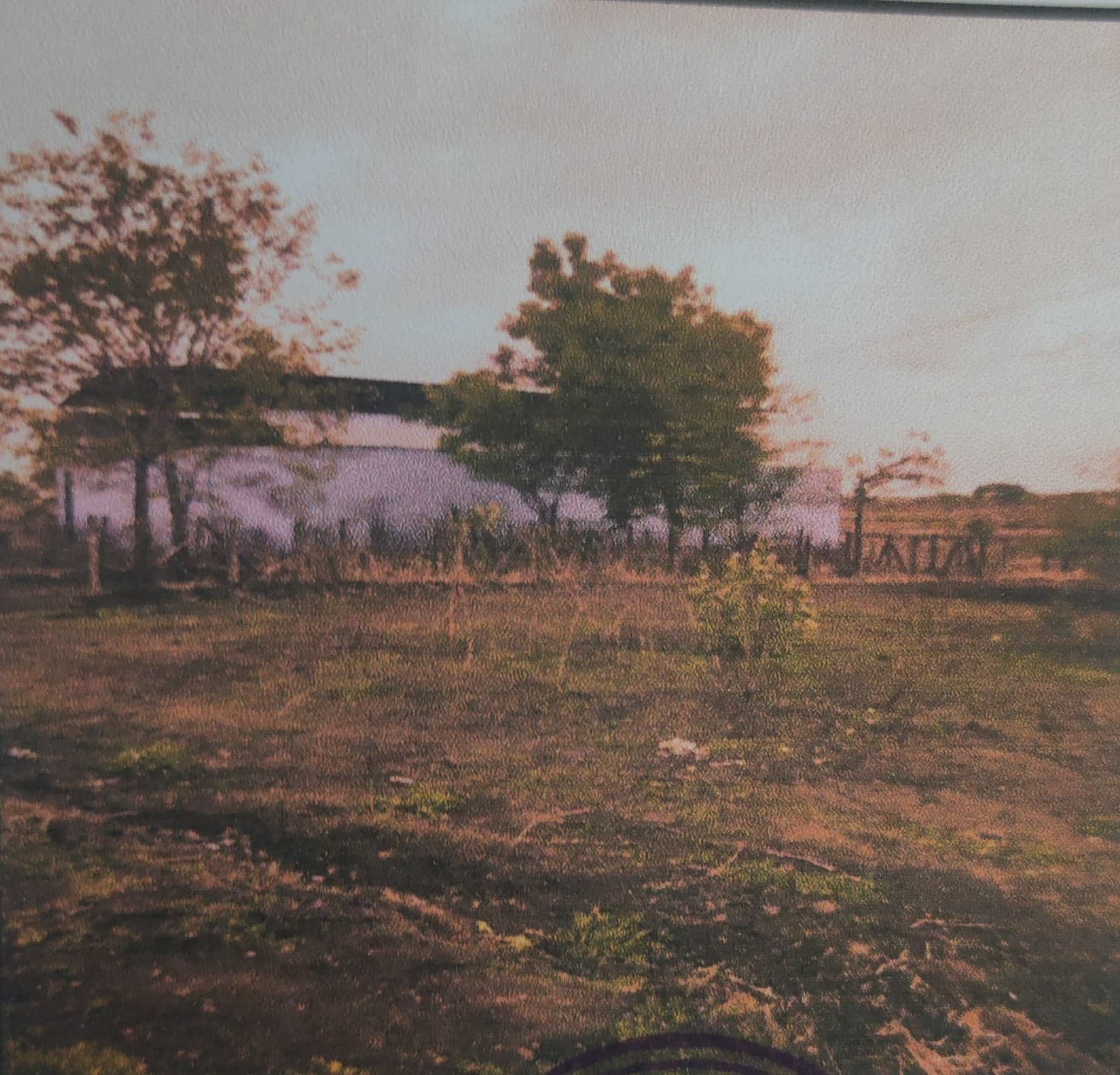 Property Photos 2