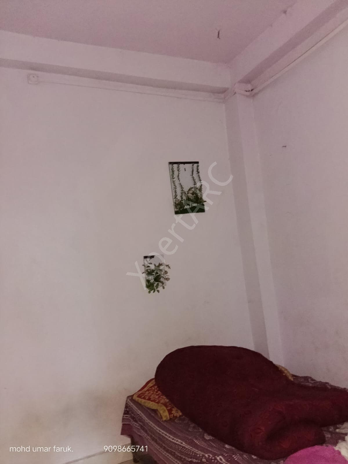 Property Photos 6
