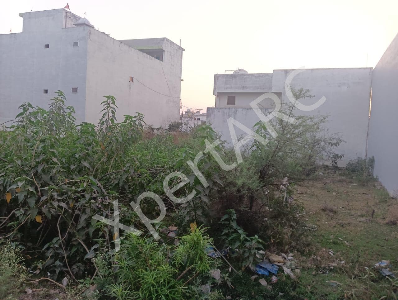 Property Photos 5