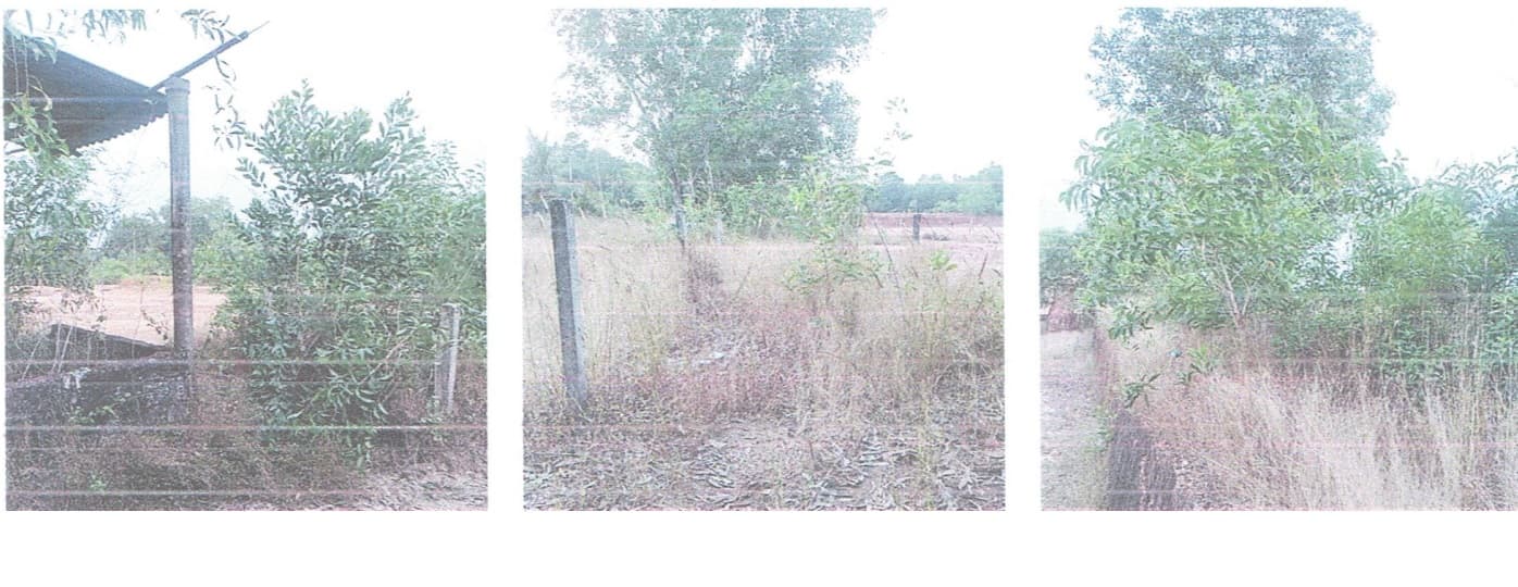Property Photos 2