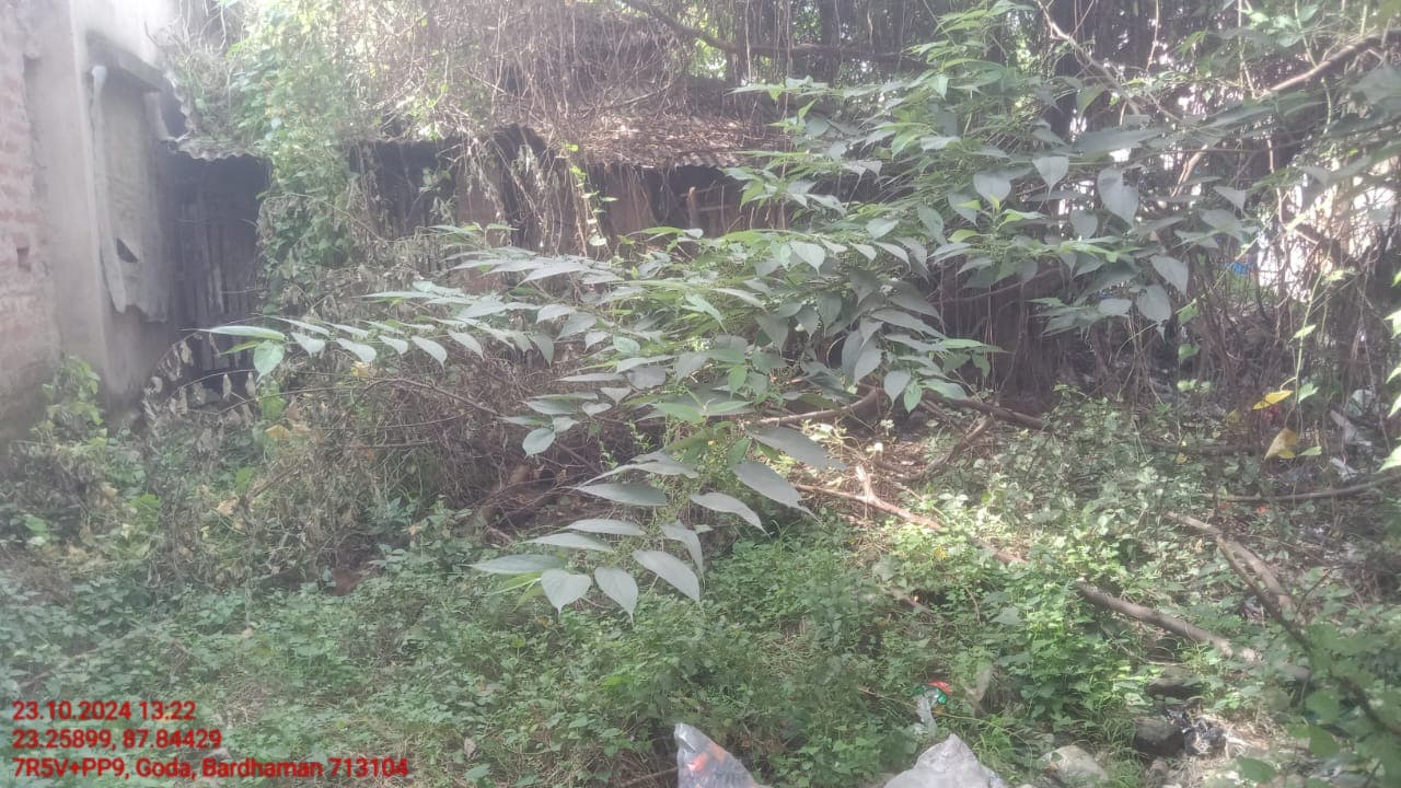 Property Photos 10