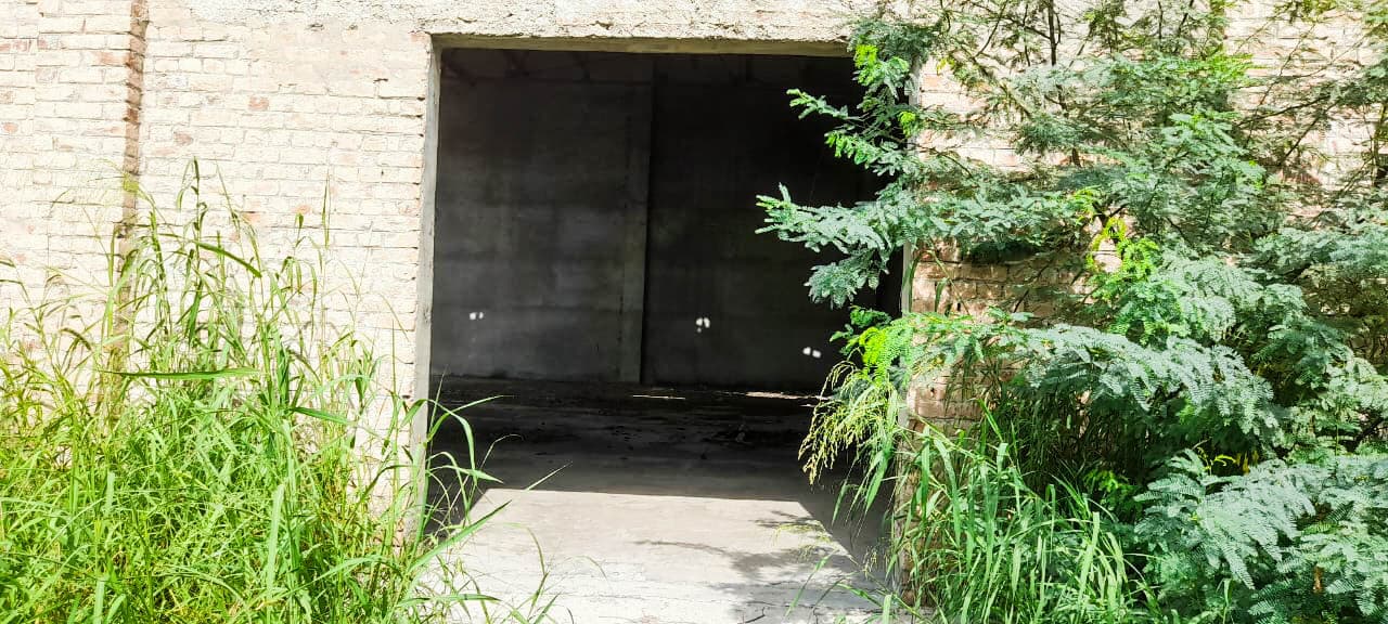 Property Photos 12