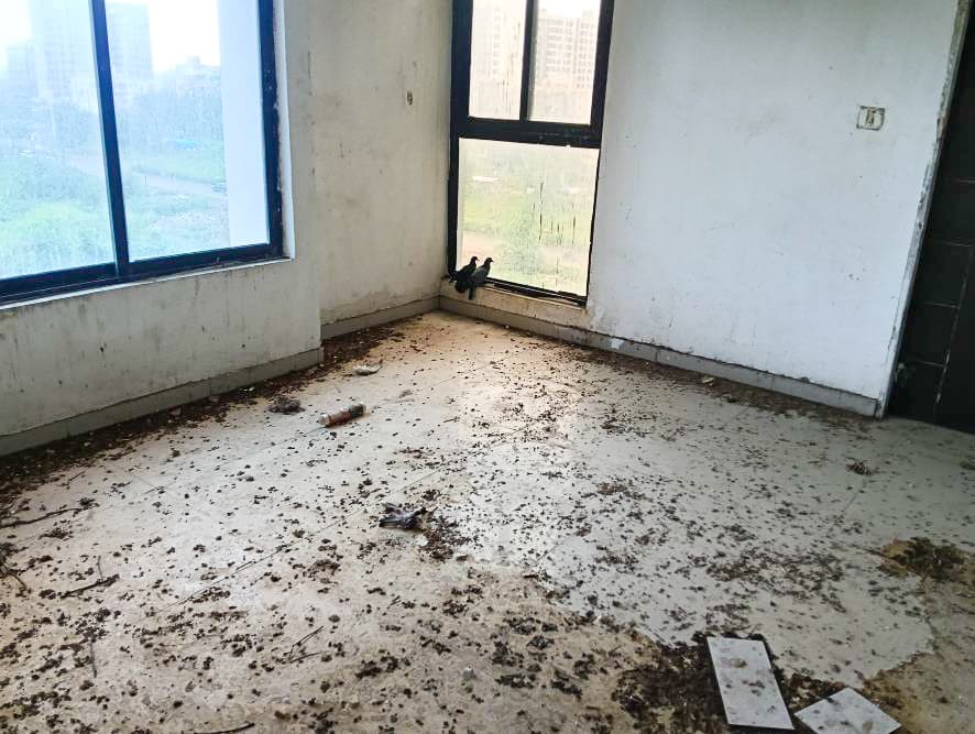 Property Photos 6