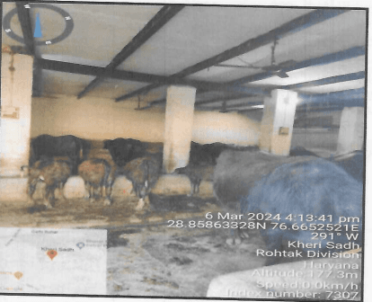 Property Photos 3