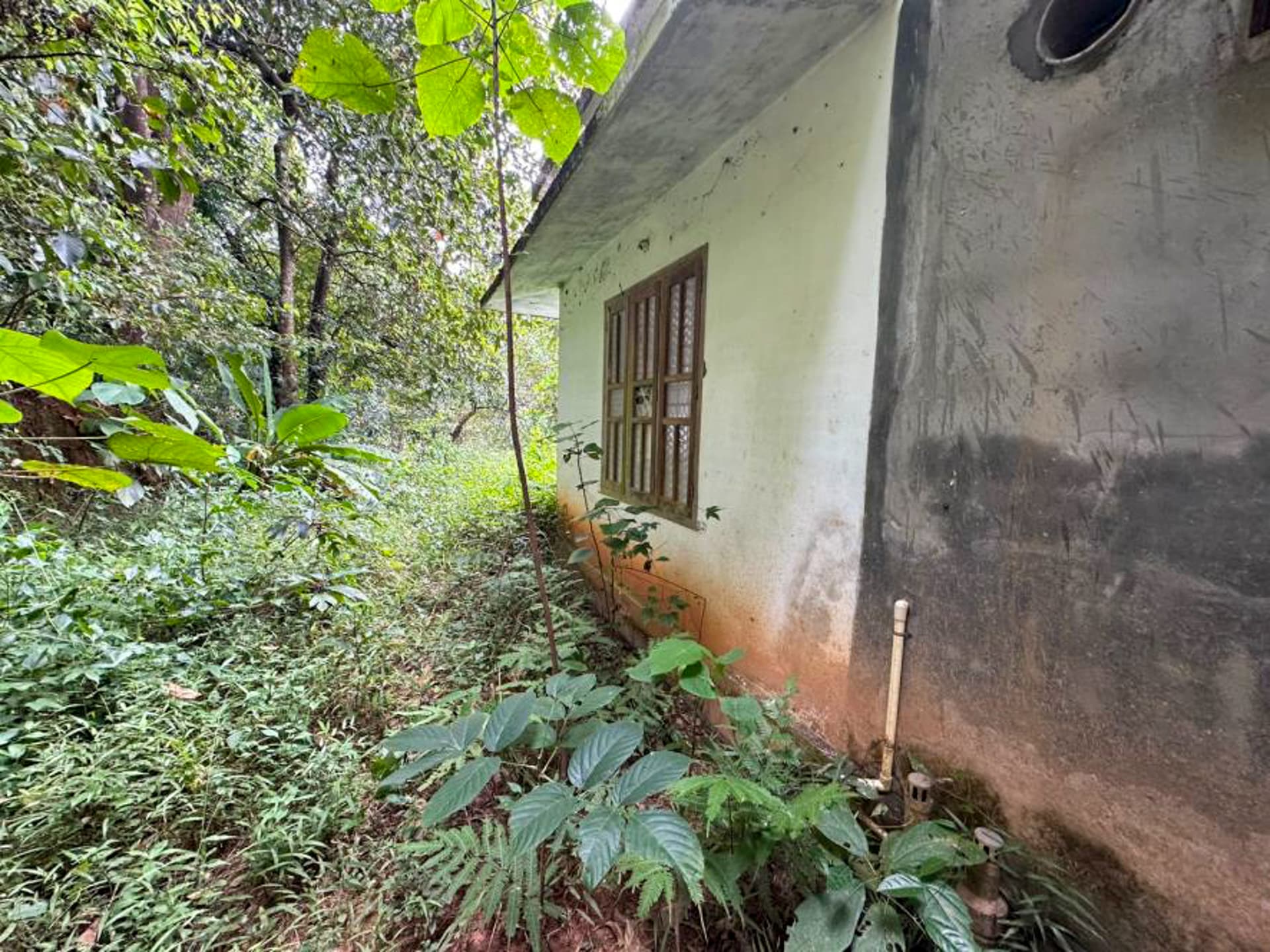 Property Photos 6