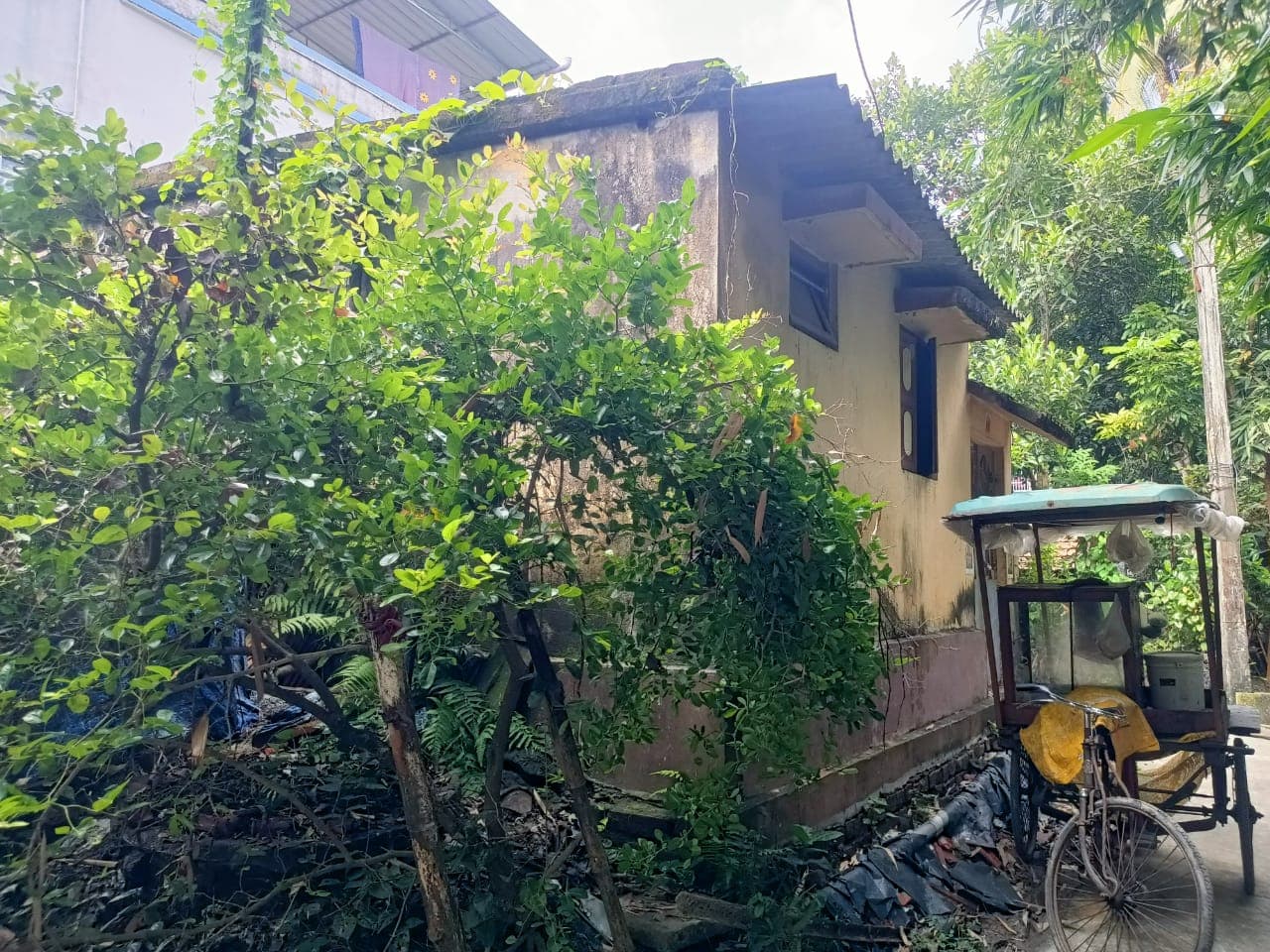 Property Photos 2