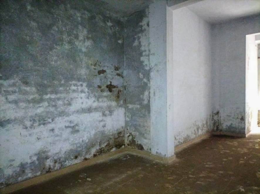 Property Photos 8